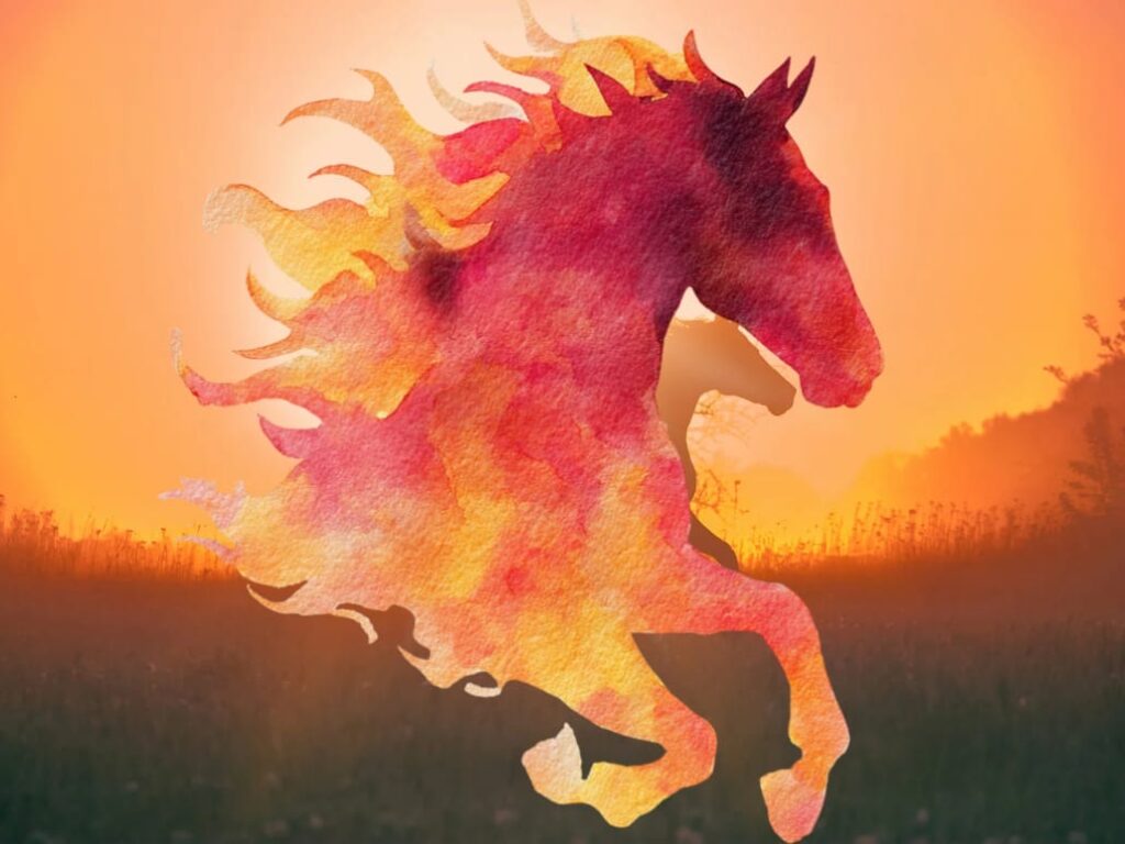 Feuerpferd Seminar Namaste