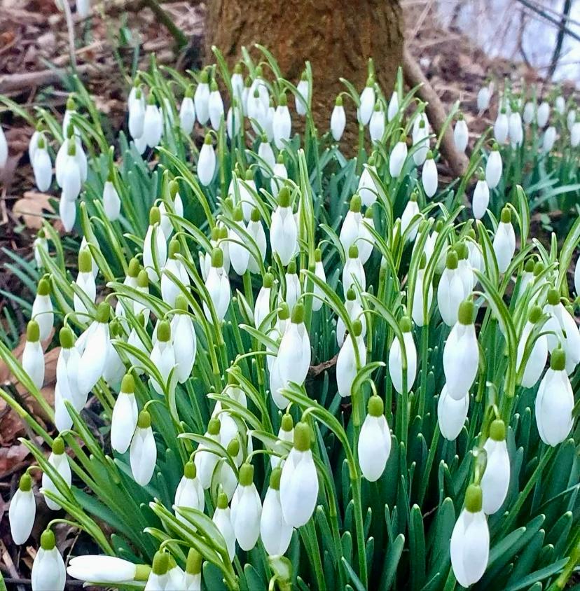 März: Frühlingserwachen mal anders März: Frühlingserwachen mal anders