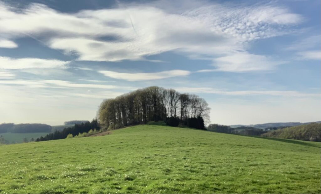 Mai: Kraftquelle Natur – Ich tanke auf und komme in meine Kraft